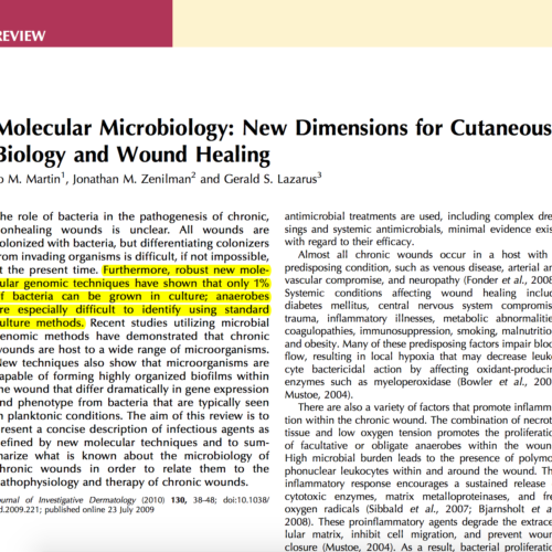 Molecular Microbiology New Dimensions for Cutaneous Biology and Wound Healing